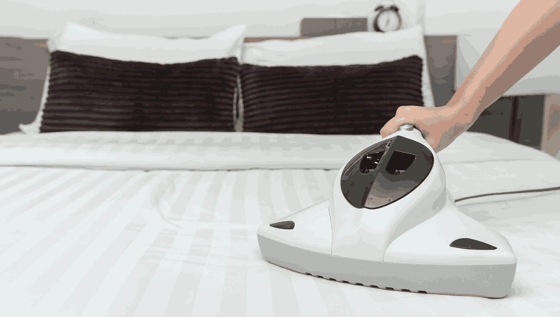 Professional Mattress Cleaning Emerald